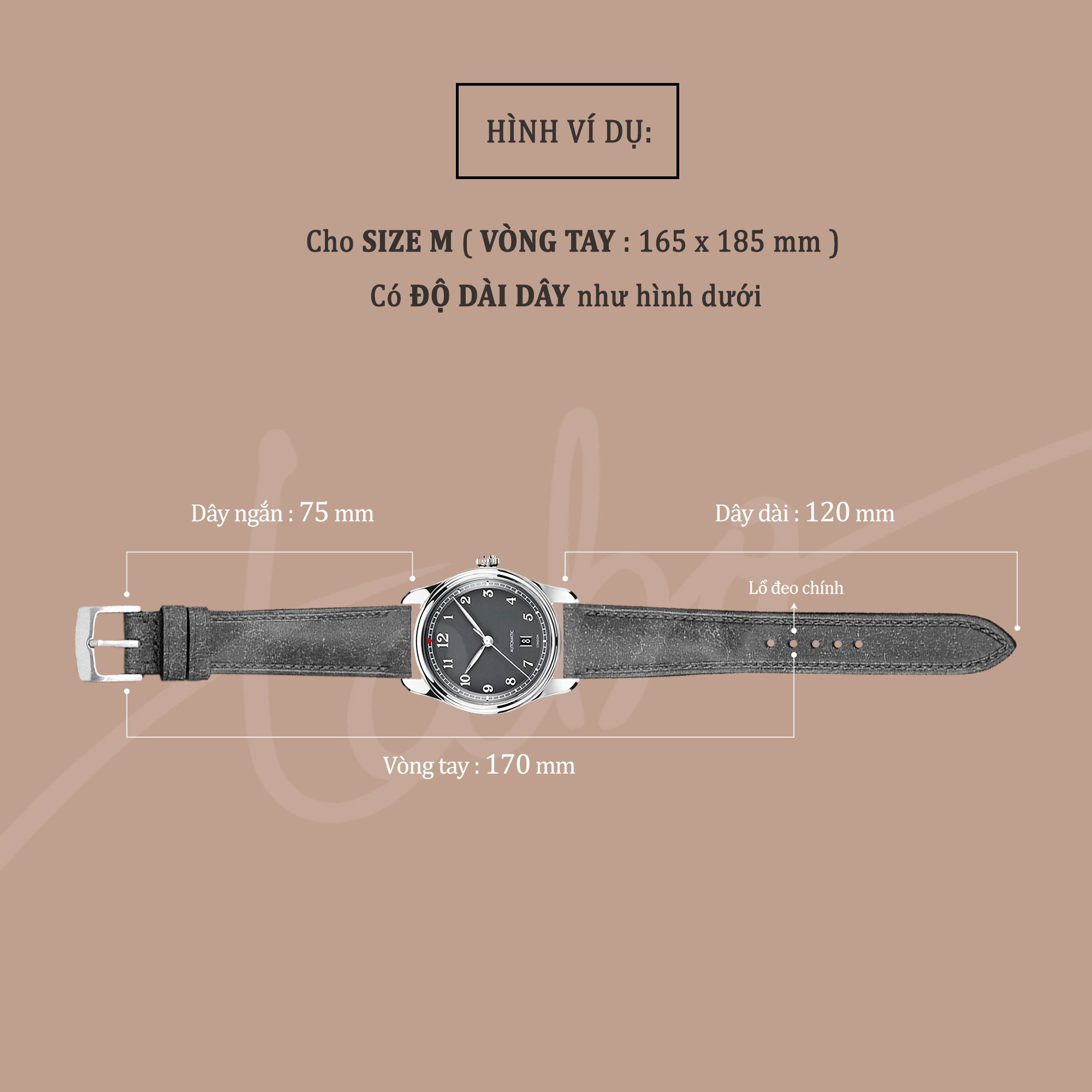 TABO WATCH STRAPS MS03 