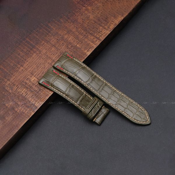  ALLIGATOR MS17 
