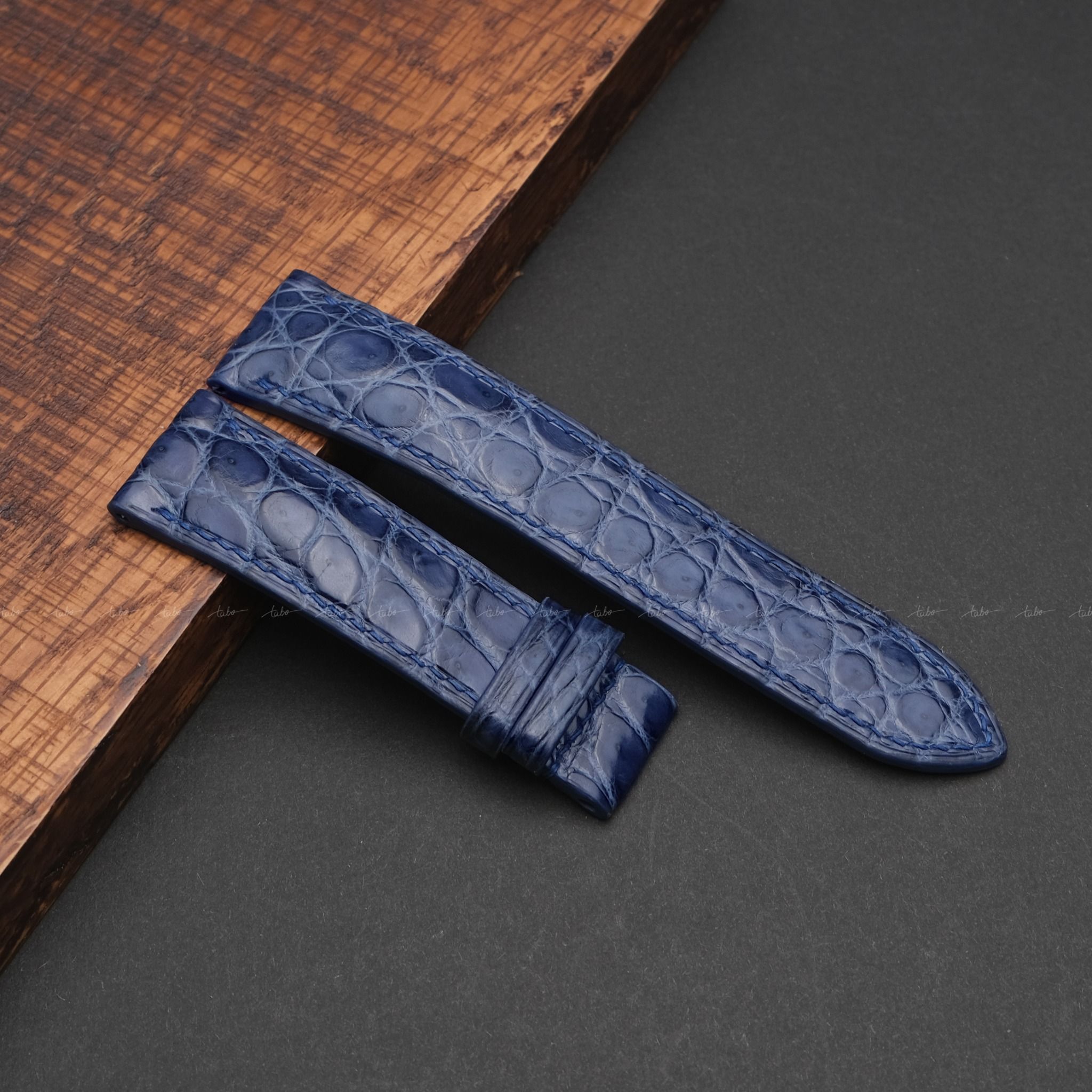  ALLIGATOR MS02 