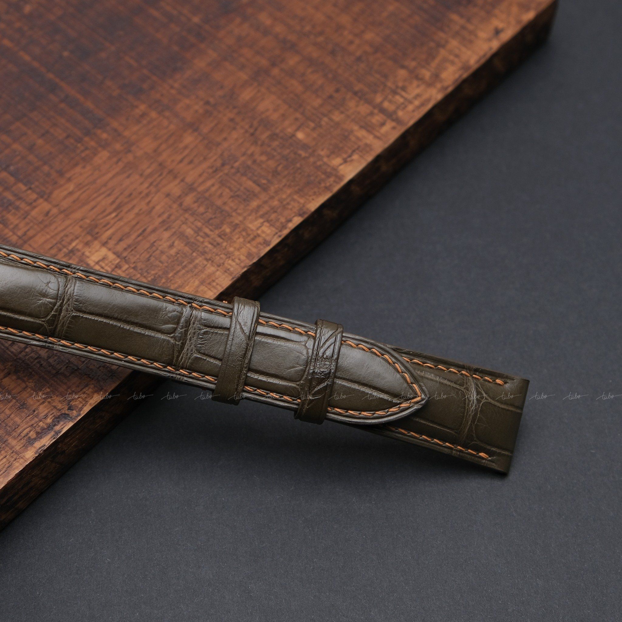  ALLIGATOR MS23 