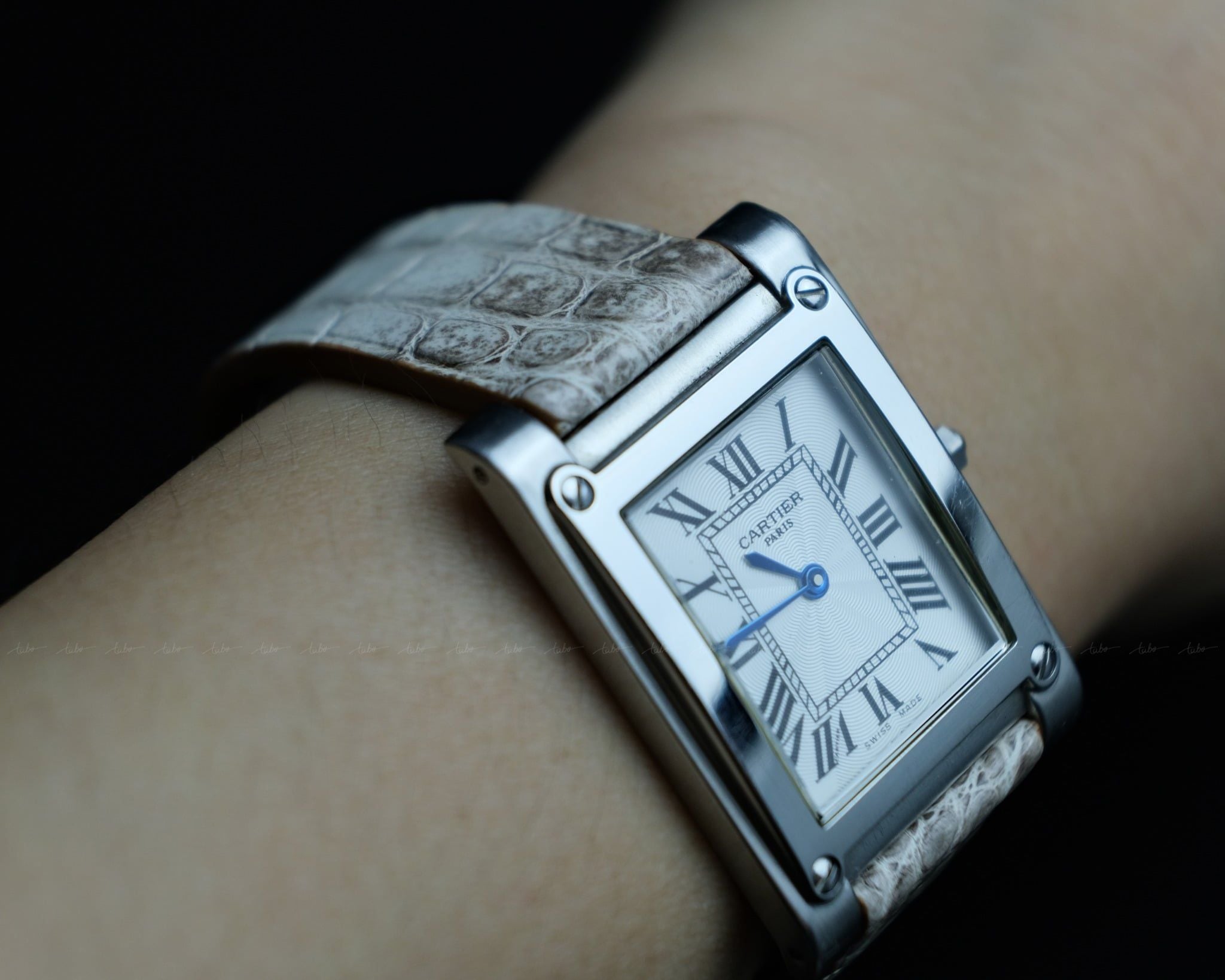  CARTIER WS – MS06 