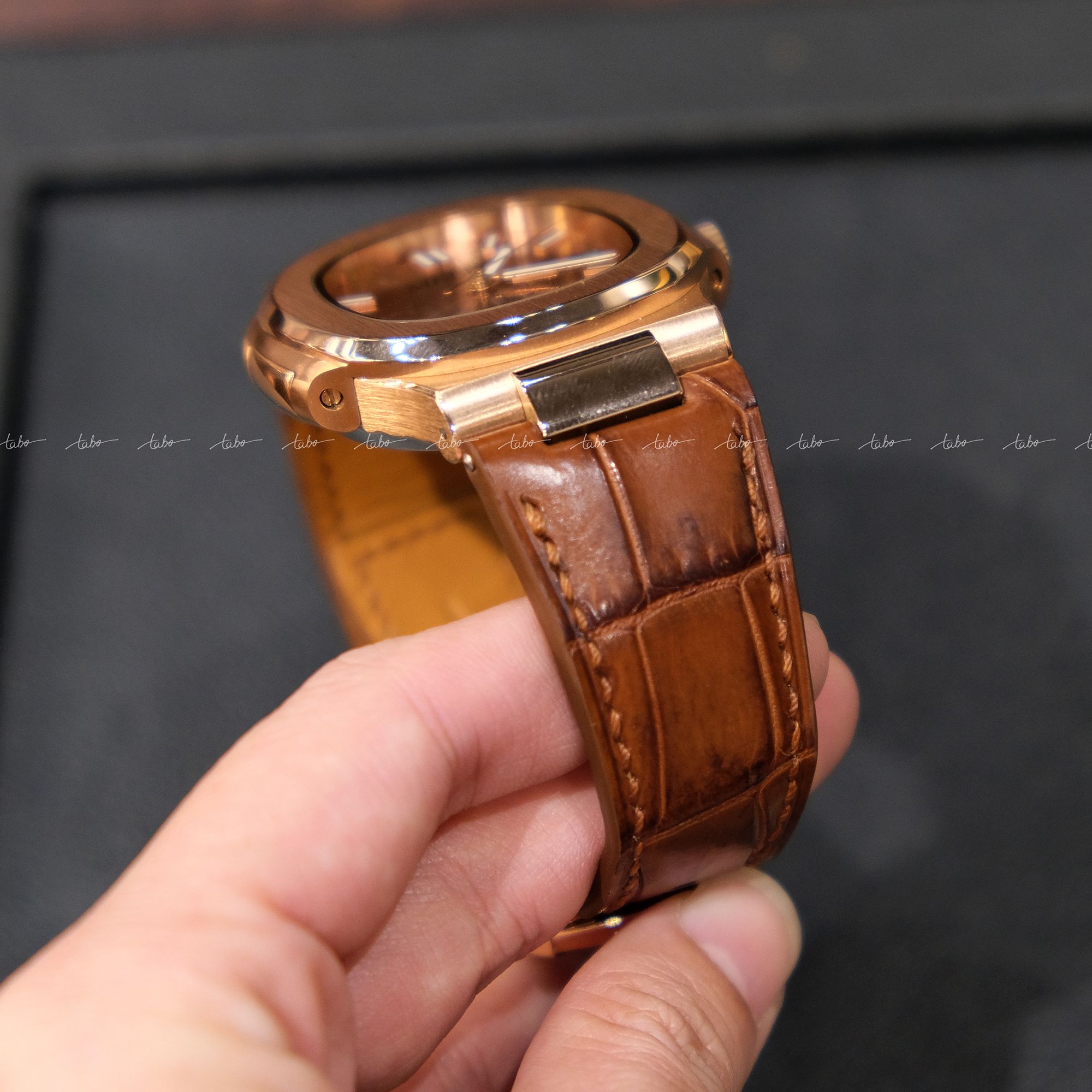 Patek Philippe – MS01B 