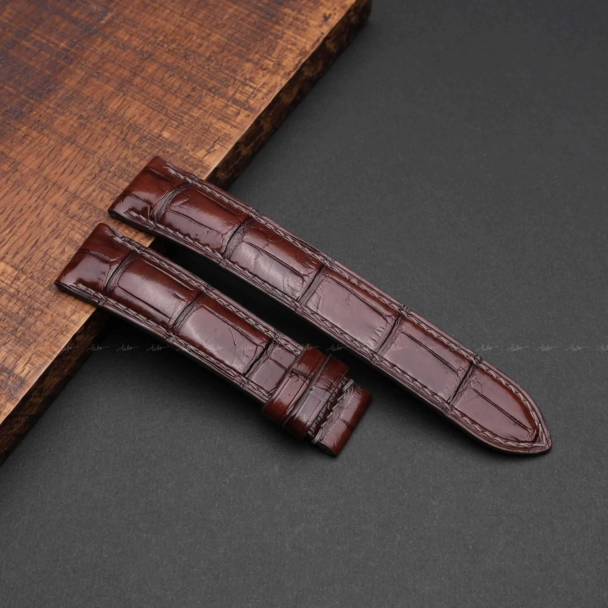  ALLIGATOR MS08 