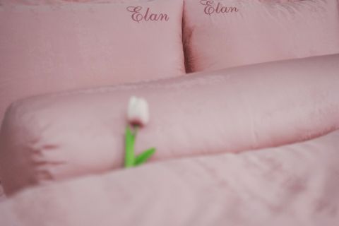 Bộ chăn ga gối 5 món Tencel Dệt TE5027
