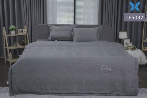 Bộ chăn ga gối 5 món Tencel Dệt TE5032