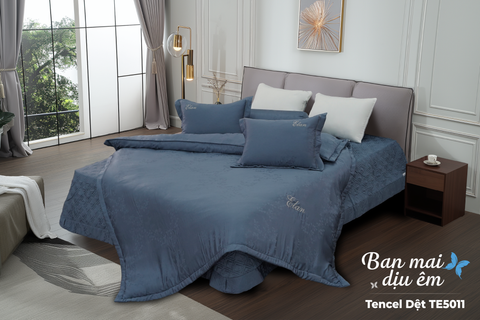 Bộ chăn ga gối 5 món Tencel Dệt TE5011