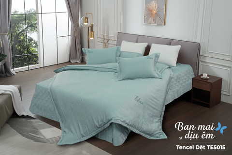 Bộ chăn ga gối 5 món Tencel Dệt TE5015