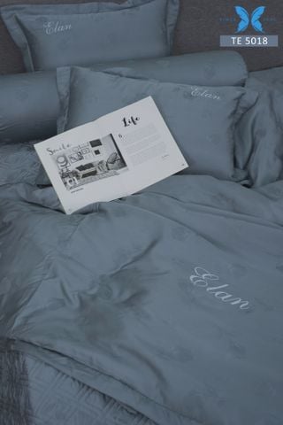Bộ chăn ga gối 5 món Tencel Dệt TE5018