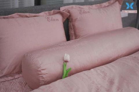 Bộ chăn ga gối 5 món Tencel Dệt TE5027