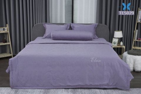 Bộ chăn ga gối 5 món Tencel Dệt TE5029