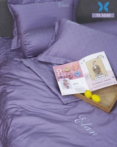 Bộ chăn ga gối 5 món Tencel Dệt TE5030