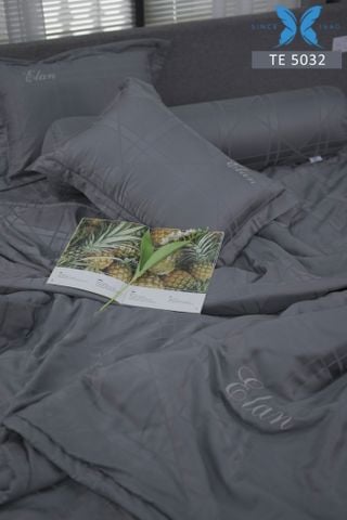 Bộ chăn ga gối 5 món Tencel Dệt TE5032