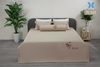 Bộ chăn ga gối 5 món Tencel thêu TL522