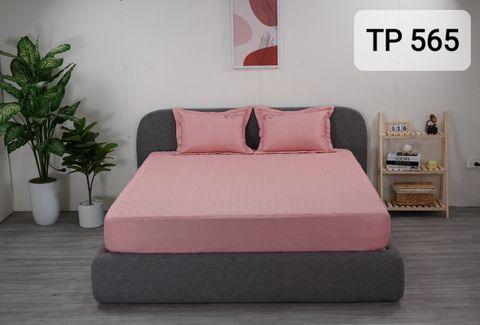 Bộ ga chun kèm gối 3 món Tencel Prime TP565