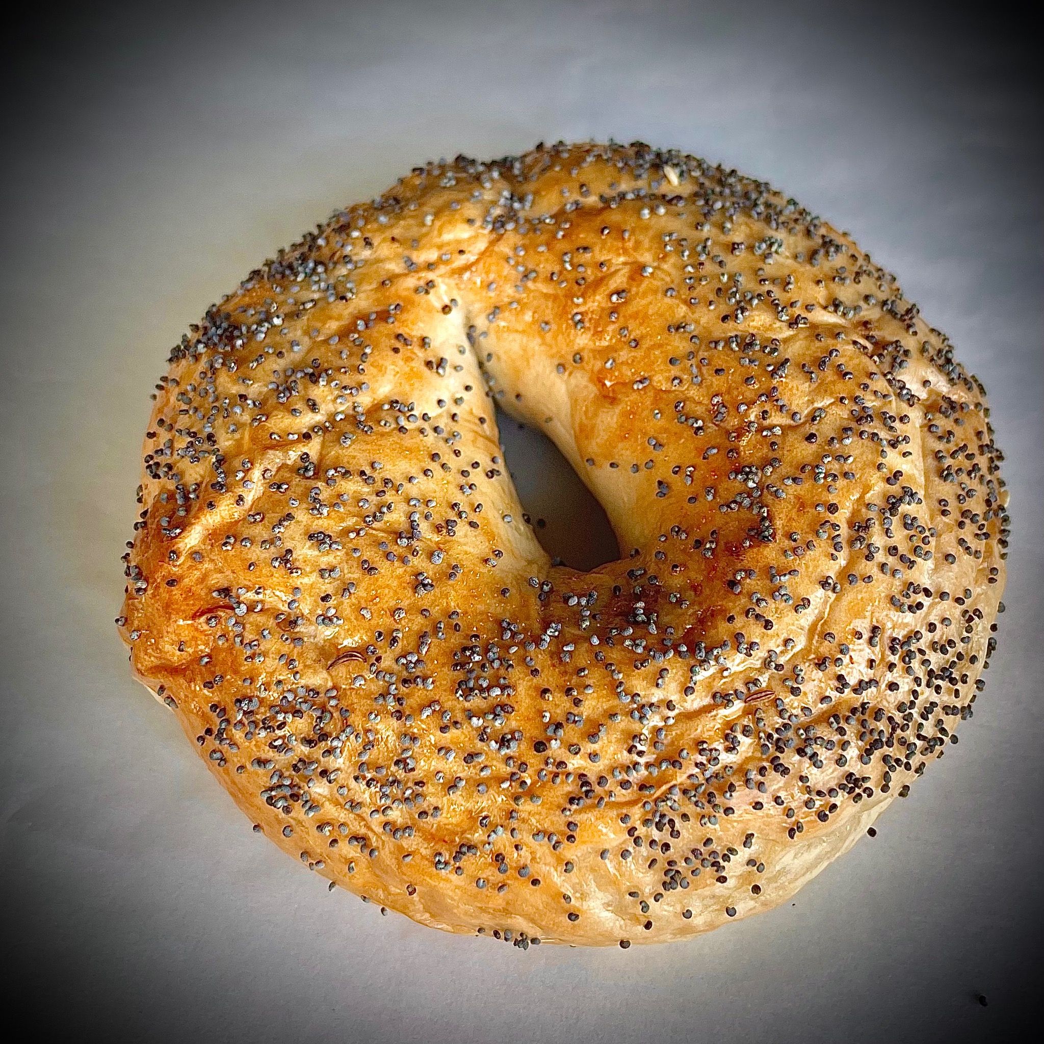 POPPY SEED BAGEL NEWYORKBAGELVN