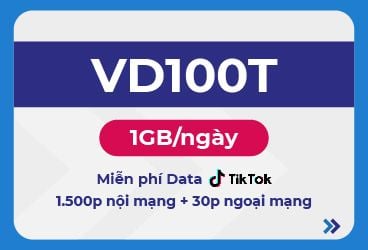  VD100T 6T 
