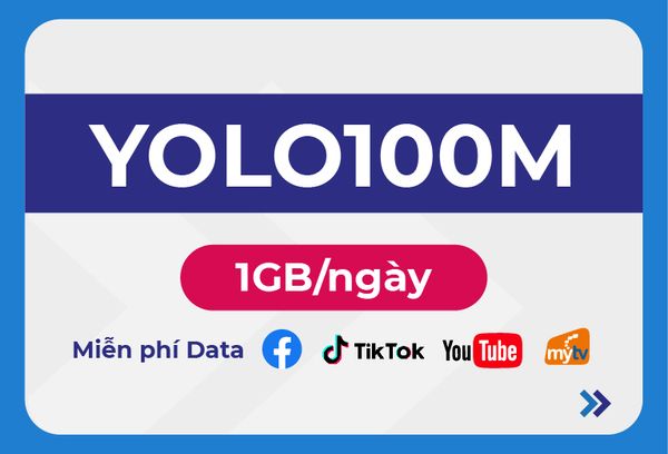  YOLO100M 6T 