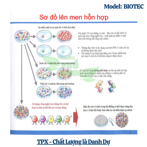  Nhà Vệ Sinh Giá Rẻ Biotec - Hàng Xuất Khẩu Nhật Bản 