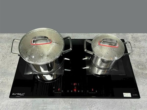 Bếp từ 2 vùng nấu Eurosun EU-T256 Pro