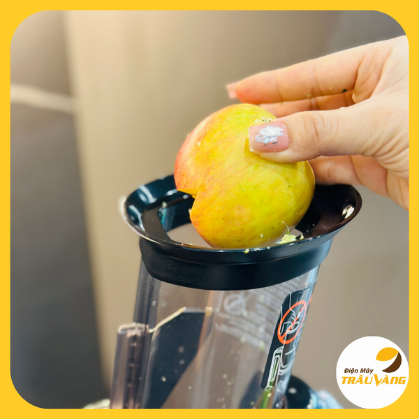 Máy ép chậm trái cây Unie UE580