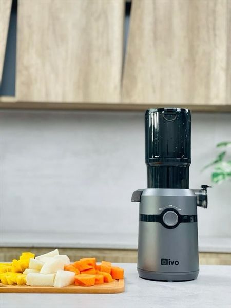 Máy ép chậm trái cây Olivo SJ240