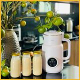 Máy Làm Sữa Hạt, Máy Nấu Sữa Hạt mini Unie UMB08 Chính Hãng 600ml 5 Chức Năng
