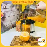 Máy ép chậm, máy ép trái cây chậm, máy ép rau củ Kalite KL565 ép kiệt bã, ép nguyên quả, công suất 250W