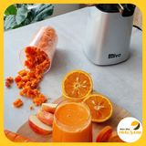 Máy ép chậm, máy ép trái cây chậm, máy ép làm kem Olivo SJ210 thương hiệu Mỹ công suất 200W
