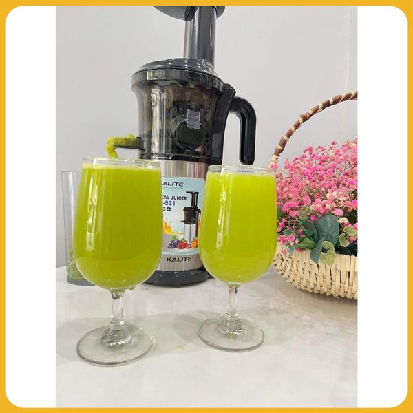 Máy ép chậm, máy ép trái cây chậm Kalite KL531 công suất 200w
