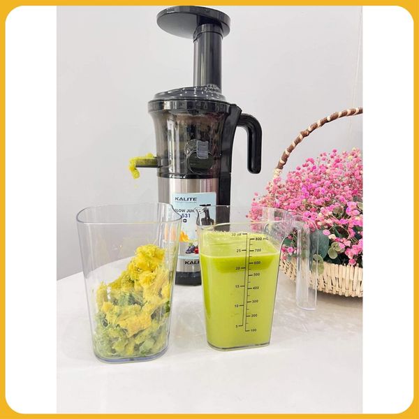 Máy ép chậm, máy ép trái cây chậm Kalite KL531 công suất 200w