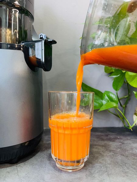 Máy ép chậm Olivo SJ196