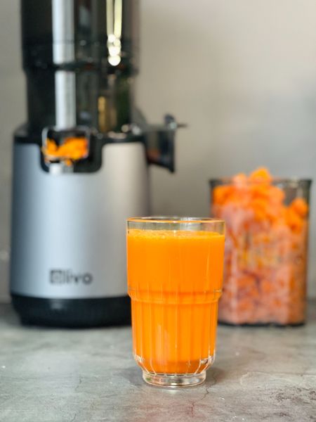 Máy ép chậm Olivo SJ196