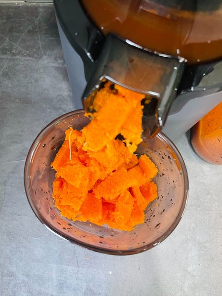 Máy ép chậm Olivo SJ196