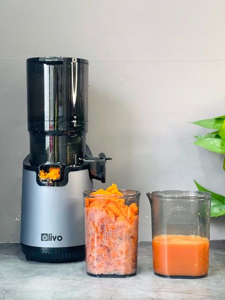 Máy ép chậm Olivo SJ196