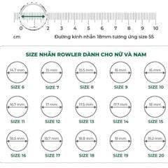 Nhẫn Royal bạc Thụy Sỹ đính full đá Moissanite viên chủ tròn 7.0ly- ROWLER- RH000953