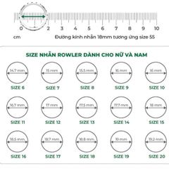 Mặt dây chuyền  bạc Thụy Sĩ đính full đá Moissanite tim 5.0ly _PH000946_ROWLER
