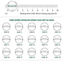 Bông tai bạc 925 cao cấp đính full đá CZ5A_ EA000631 _Rowler