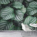  Tranh Dán Tường Spa 3D 5D 8D - SP49 