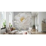  Tranh Dán Tường Hoa 3D 5D 8D - TH119 