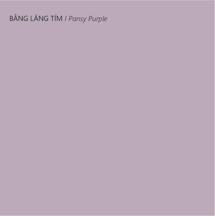 Sơn tường trong nhà tone màu macaron | Lon sơn 1kg– Loho House