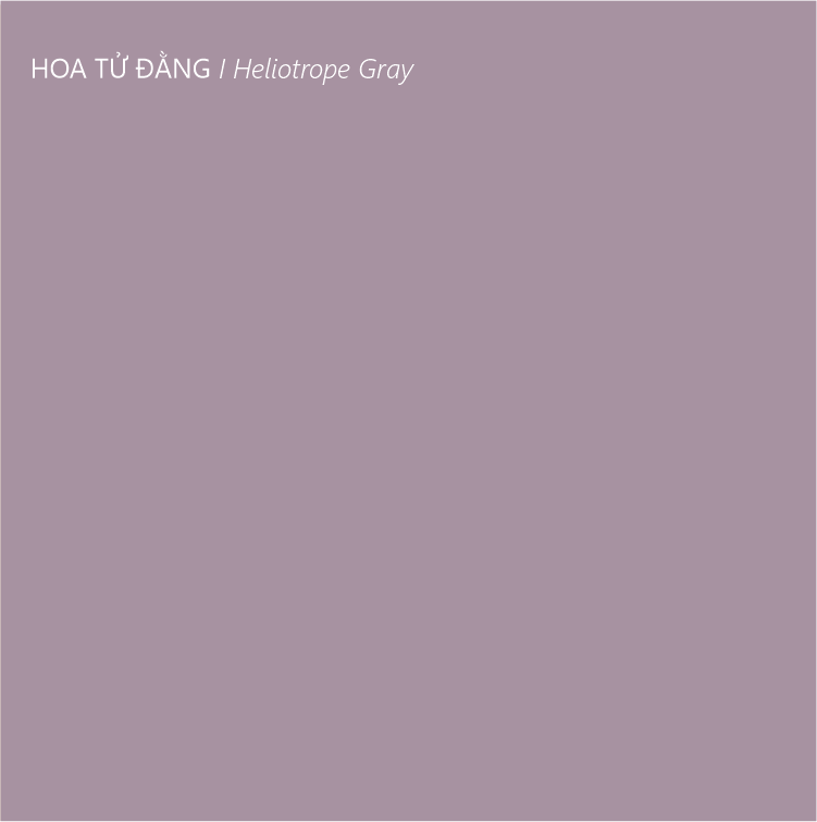 Sơn tường trong nhà tone màu macaron | Lon sơn 1kg– Loho House