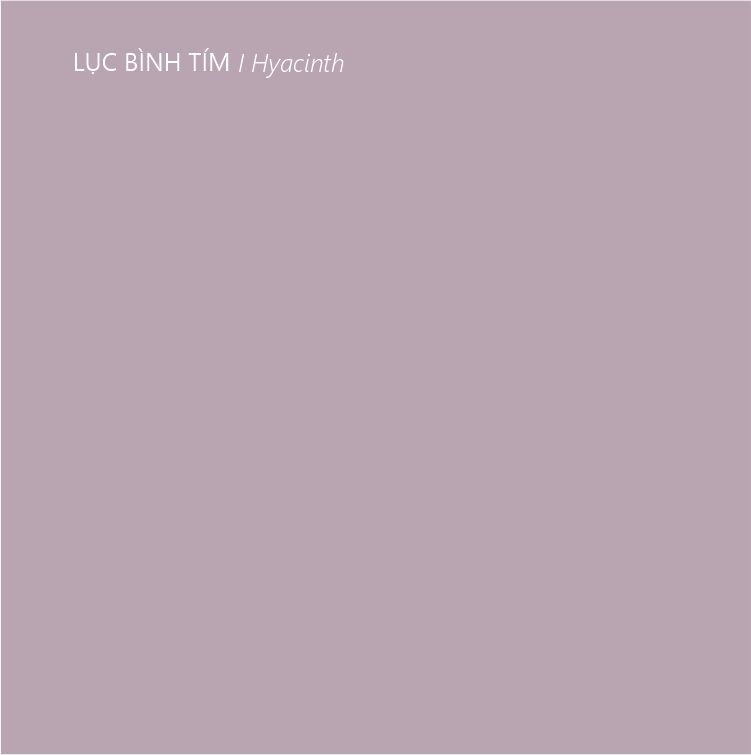 Sơn tường trong nhà tone màu macaron | Lon sơn 1kg– Loho House