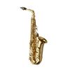  Kèn Saxophone Alto Yanagisawa A-WO1 