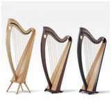  Đàn Harp Lever Lyon & Healy  Ogden 