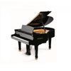  Đàn Piano Grand Petrof Standard Series Grand P159 Bora 
