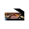  Đàn Piano Grand Petrof Standard Series Grand P159 Bora 