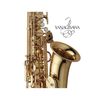  Kèn Saxophone Alto Yanagisawa A-WO1 