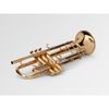  Kèn Trumpet Bb Adams A10 