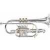  Kèn Cornet Bb Besson BE2028-2G-0 Goldbrass Bell, Silver Plated 