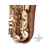  Kèn Saxophone Alto Yanagisawa A-WO20, Elite series, bronze, Gold lacquer 